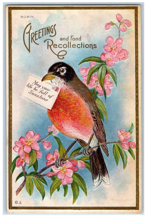 c1910's Recollections Greetings Bird Letter Flowers Nash Embossed Postcard