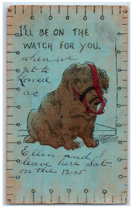 1906 Muzzled Dog Lowell Massachusetts MA Posted Antique Postcard