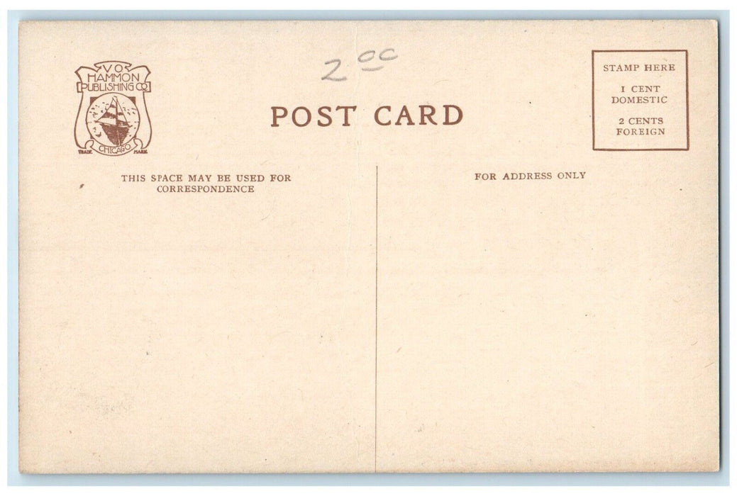 c1910 Steam Boat Docks Big Island Park Lake Minnetoka Minnesota Vintage Postcard
