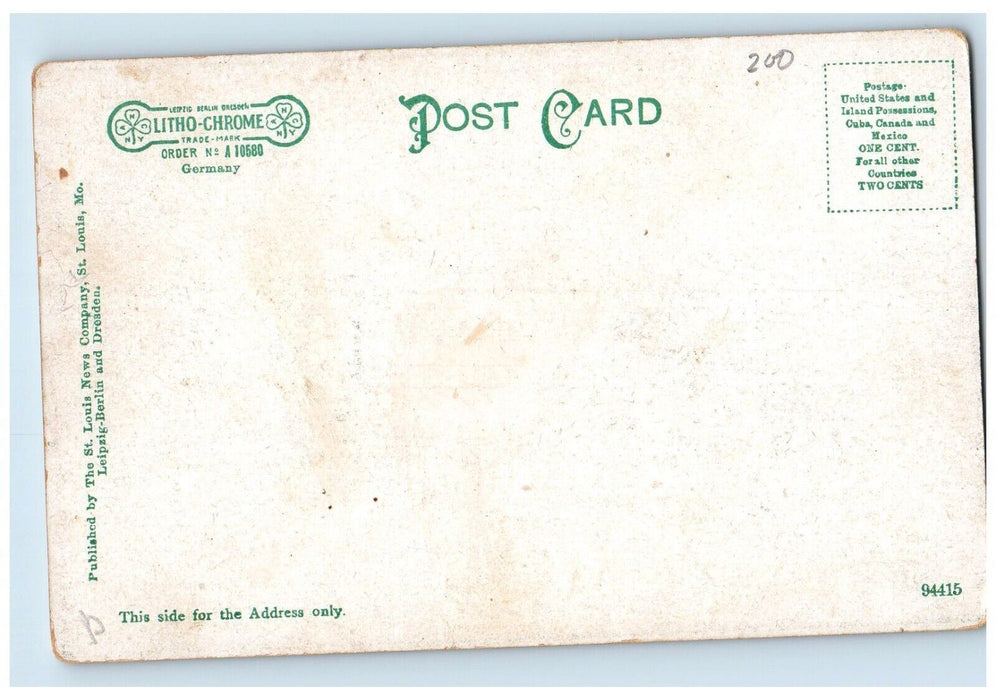 c1905 Pennsylvania Avenue East Exterior Houses Road St. Louis Illinois Postcard