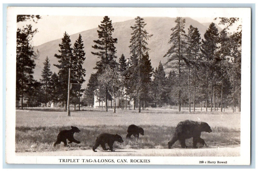 1954 Triplet Tag A Longs Can Rockies Jasper Alberta Canada RPPC Photo Postcard