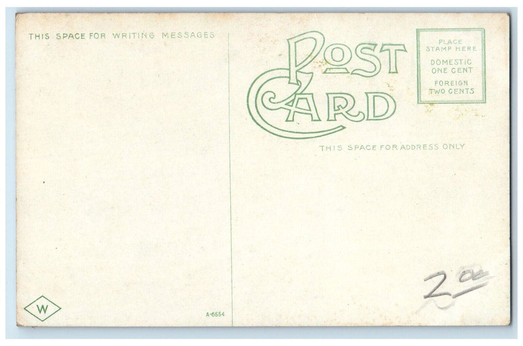 c1910 Animals at Mc Cullach Park Muncie Indiana IN Unposted Antique Postcard