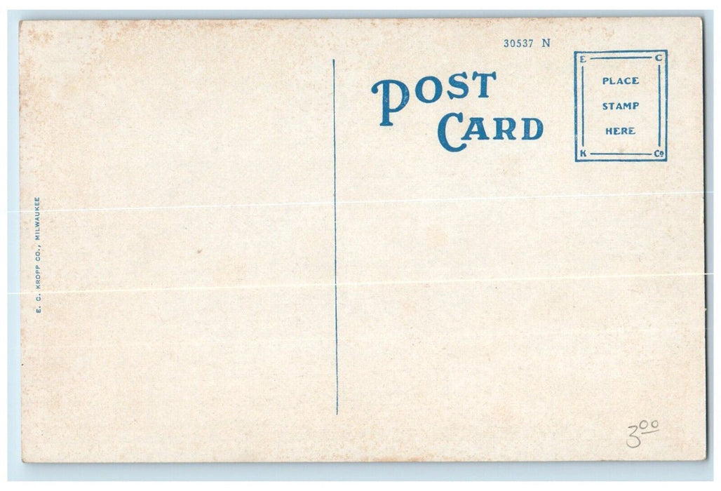 c1920 Independent Pneumatic Tool Co. Exterior Building Aurora Illinois Postcard