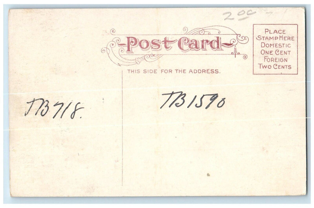c1910 St. Joseph Hospital Exterior Building Field Bloomington Illinois Postcard