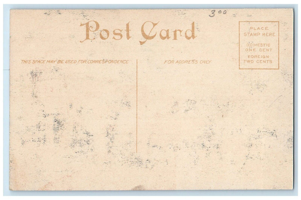 c1910 Business Section North Side of Square Lafayette Indiana IN Postcard