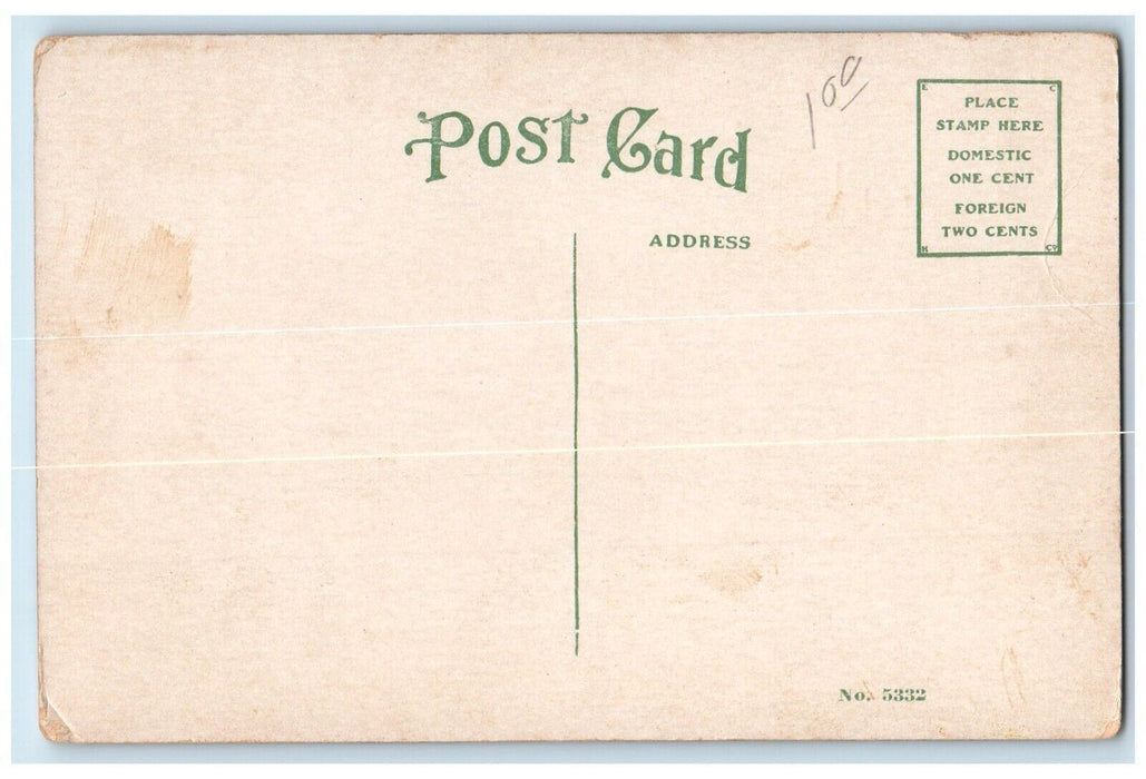c1910 Northern Illinois State Normal Training School DeKalb Illinois IL Postcard