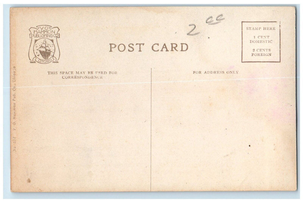 c1910 Fox River North Hurds Island Locomotive Train Aurora Illinois IL Postcard