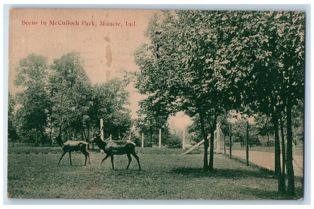 1915 Scene In McCulloch Park Muncie Indiana IN Posted Antique Postcard
