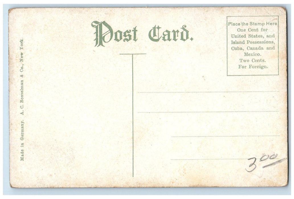 c1910 Old Toll Gate Cycle Path Indianapolis Indiana IN Vintage Antique Postcard