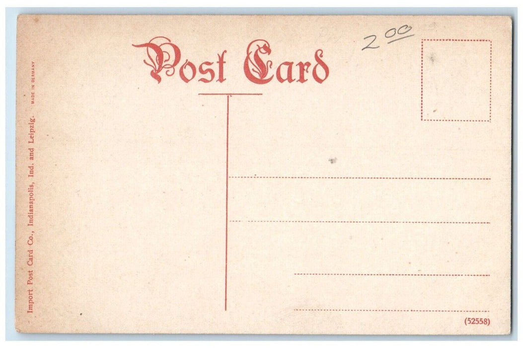 c1910 Roadside View Tomlinson Hall Indianapolis Indiana Vintage Antique Postcard
