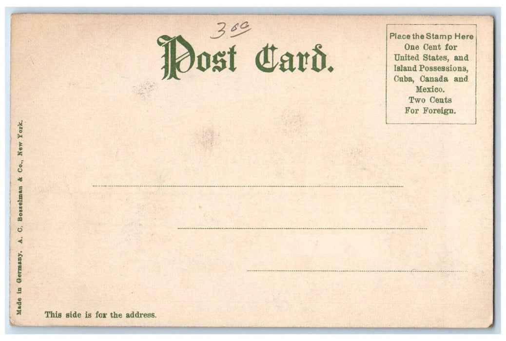 1905 Roadside View Tomlinson Hall Building Indianapolis Indiana Vintage Postcard