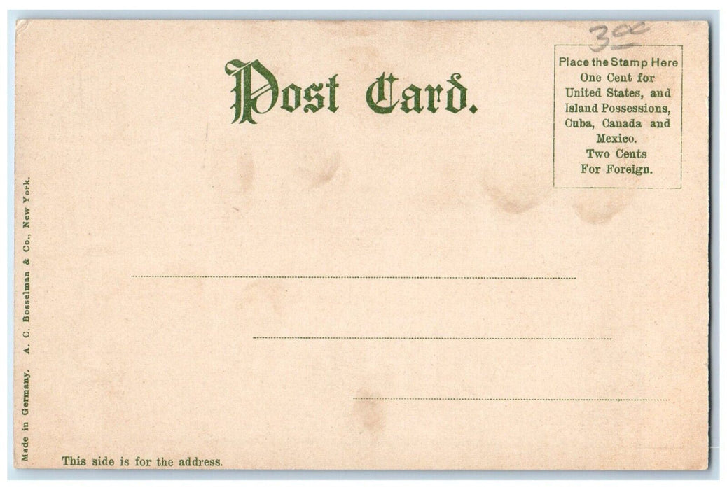 c1905 Tractional Terminal Building Indianapolis Indiana Vintage Antique Postcard