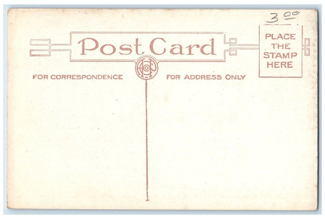 c1910 Depot Park Railroad Trees Kendallville Indiana IN Vintage Antique Postcard