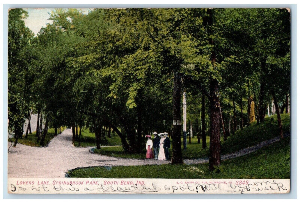 1908 Lover's Lane Springbrook Park And Trees South Bend Indiana IN Postcard