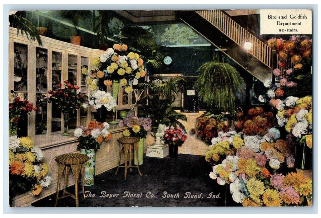 1910 The Beyer Floral Company Interior View South Bend Indiana IN Postcard