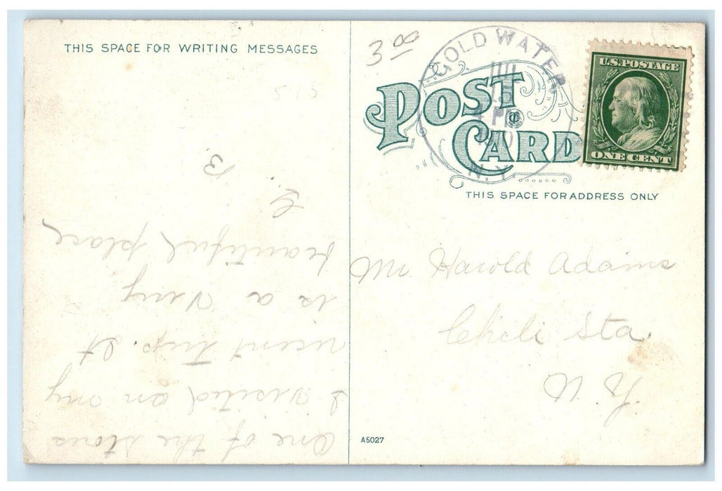 1910 The Beyer Floral Company Interior View South Bend Indiana IN Postcard