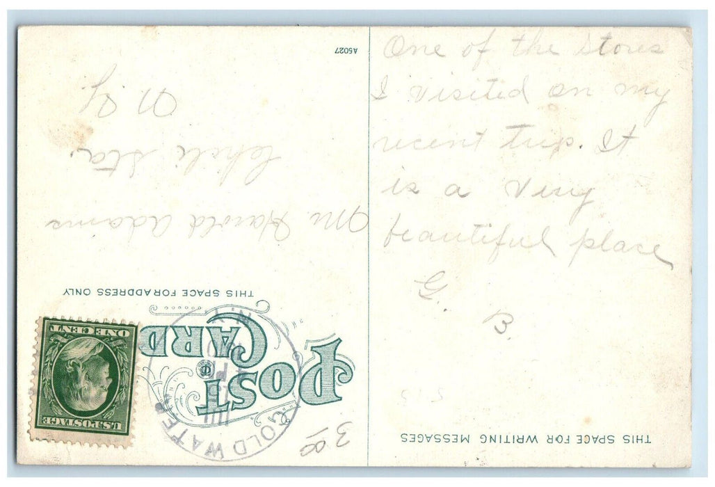 1910 The Beyer Floral Company Interior View South Bend Indiana IN Postcard