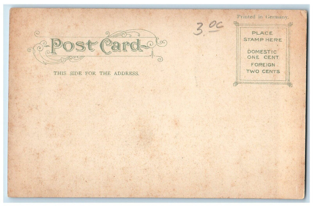 c1905 Grammar School Building Scene Street South Bend Indiana IN Postcard