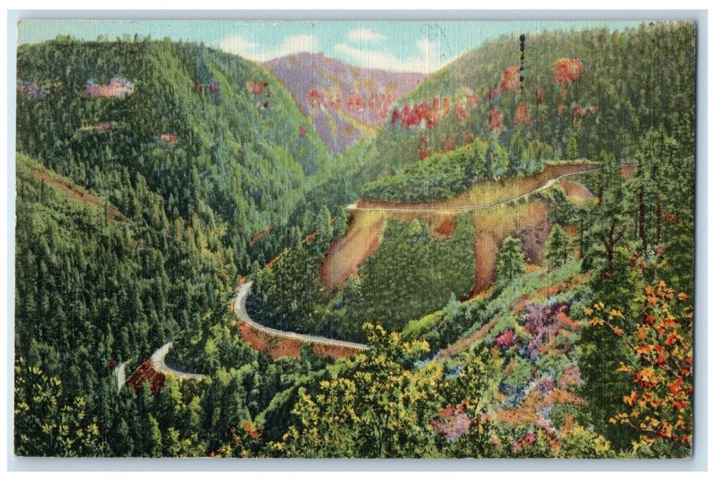 1985 Oak Creek Flagstaff Prescott Mountain Highway Road Canyon Arizona Postcard