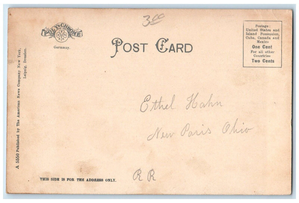 c1905 Roadside View High School Building Anderson Indiana IN Vintage Postcard