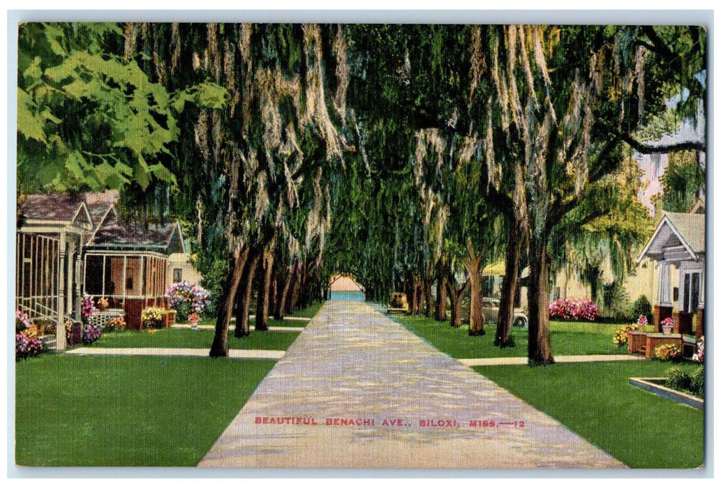 Beautiful Benachi Ave., Tree-lined Scene Biloxi Mississippi MS Vintage Postcard