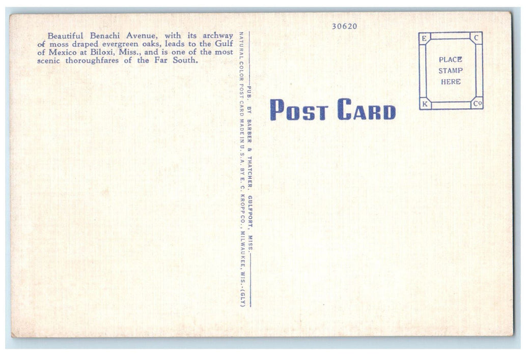 Beautiful Benachi Ave., Tree-lined Scene Biloxi Mississippi MS Vintage Postcard