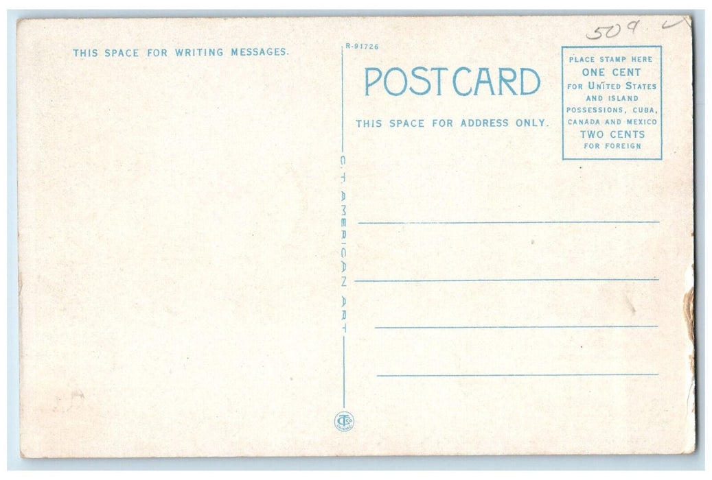 View Of South Cedar Street Tree-lined Owatonna Minnesota MN Vintage Postcard