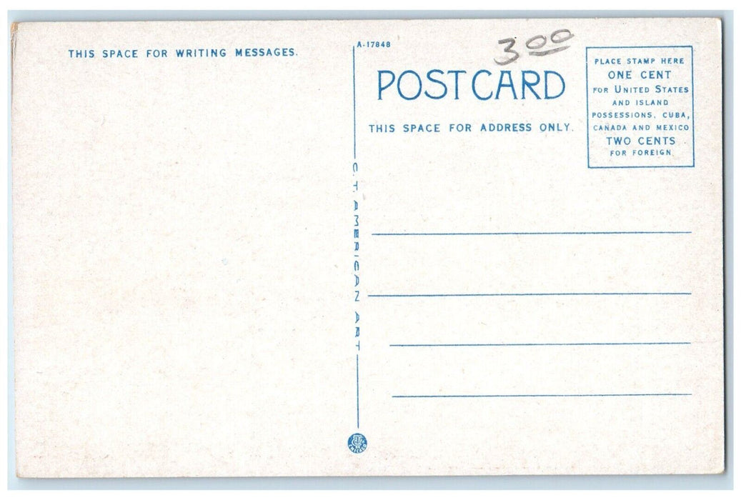 c1930's Steamer Illinois US Mail Manistee Michigan MI Unposted Vintage Postcard