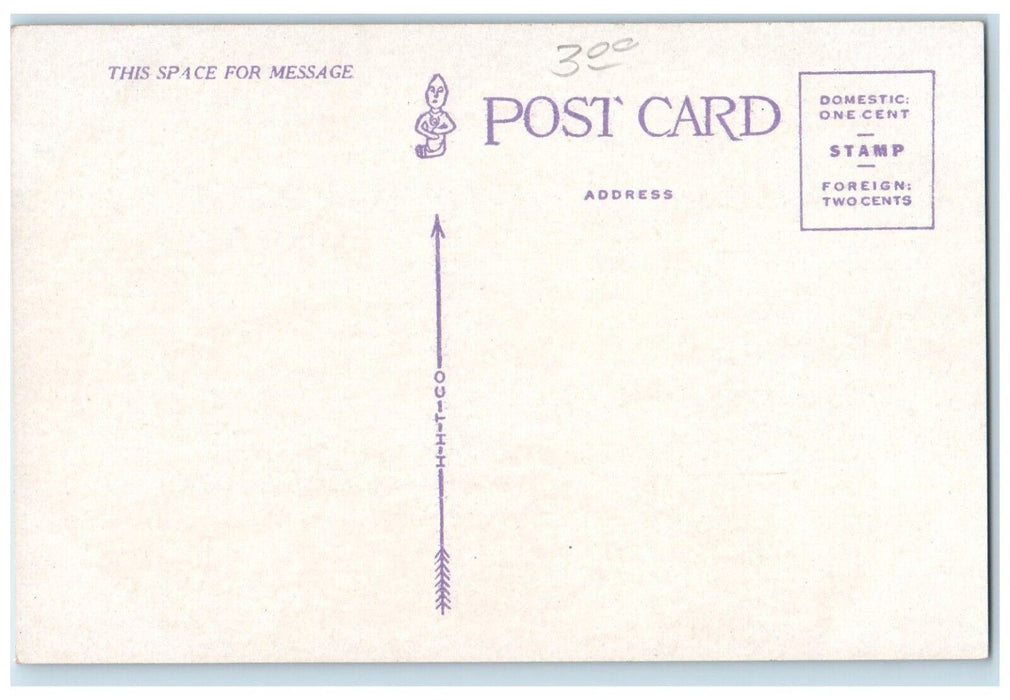 c1910 Mackinac Bay City Steamer Cruise Ship Mackinac Island Michigan MI Postcard