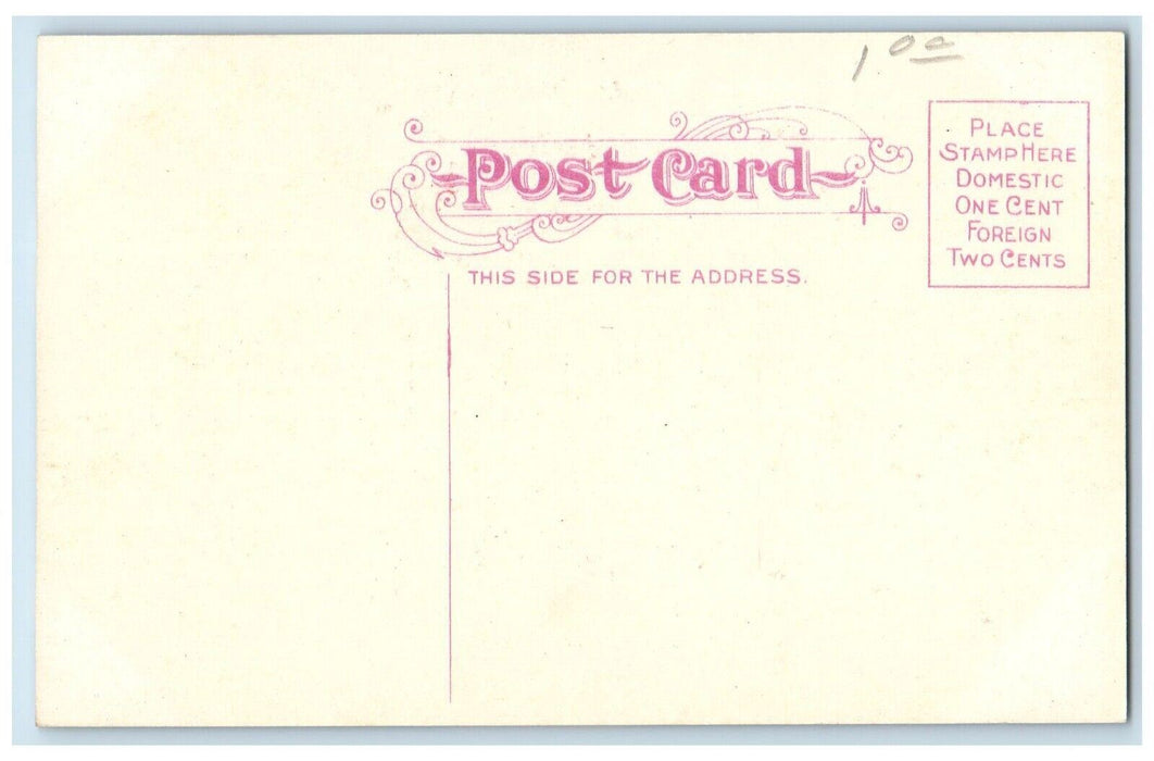 c1910 Scenic View Bayard Park Garden Evansville Indiana Antique Vintage Postcard