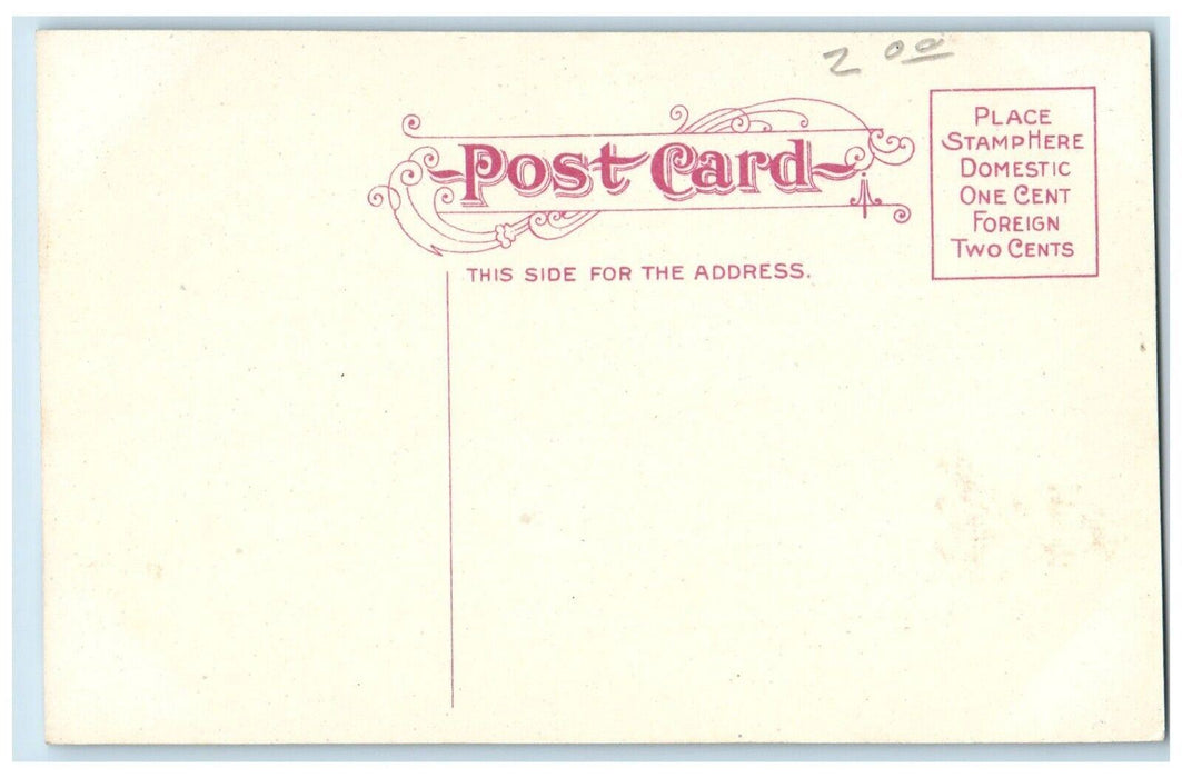 c1910 Vanderburgh County Court House Evansville Indiana Antique Vintage Postcard
