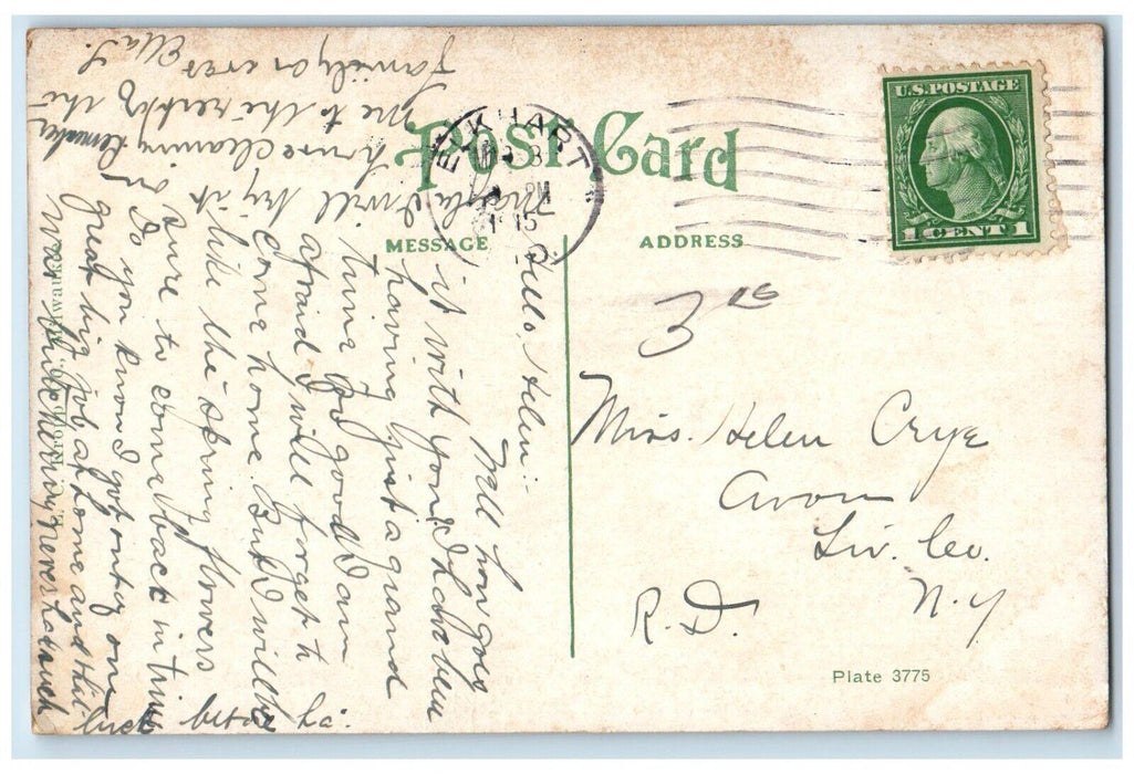 1915 Scene Second Street Road Trees Elkhart Indiana IN Vintage Antique Postcard