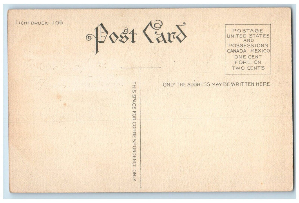 c1910's Easter Bunny Rabbit Eggs Nest Flowers Unposted Antique Postcard