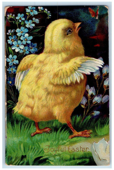 1911 Easter Chick Hatched Egg Pansies Pipe Berry Olympia WA Embossed Postcard