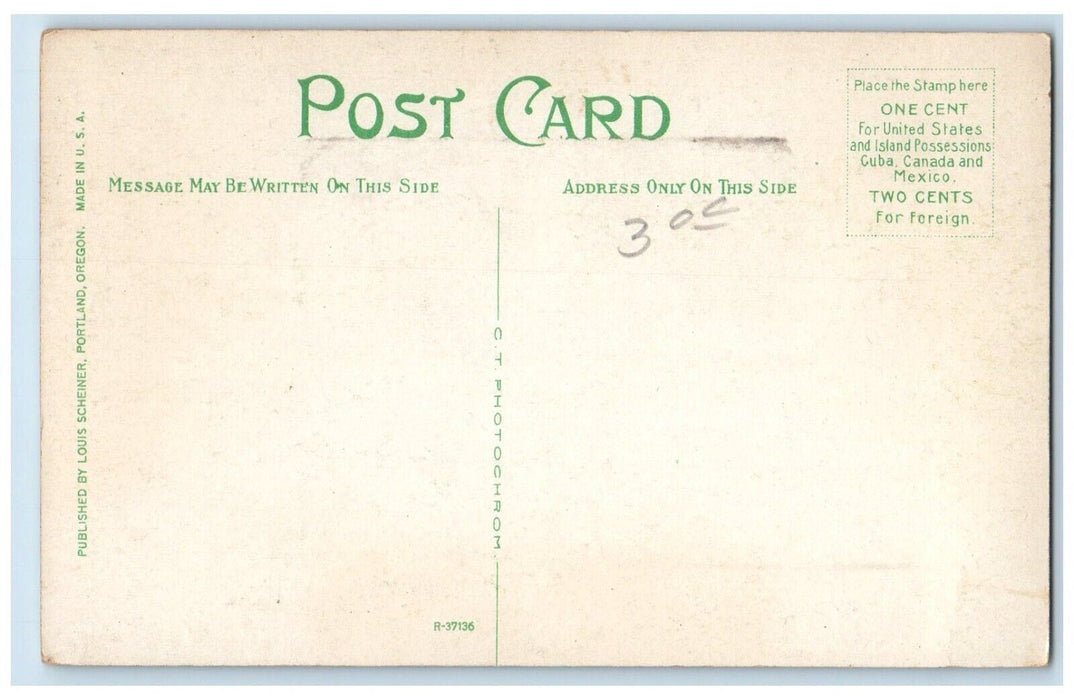c1910 Council Crest Amusement Park Dreamland Northwest Portland Oregon Postcard