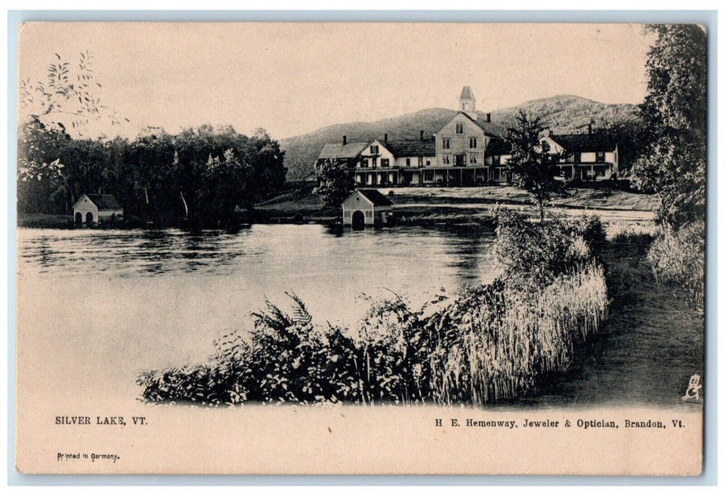 c1905 Scenic View Silver Lake House Mountains Vermont Antique Vintage Postcard