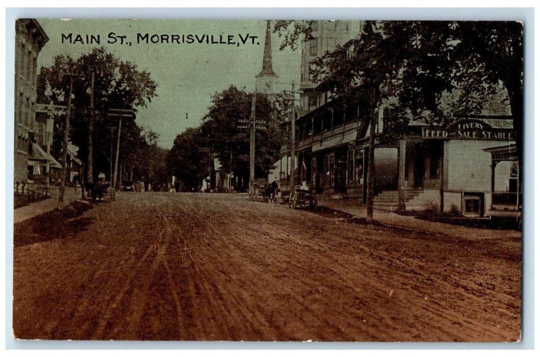 1914 Scenic View Main Street Livery Feed Store Morrisville Vermont VT Postcard