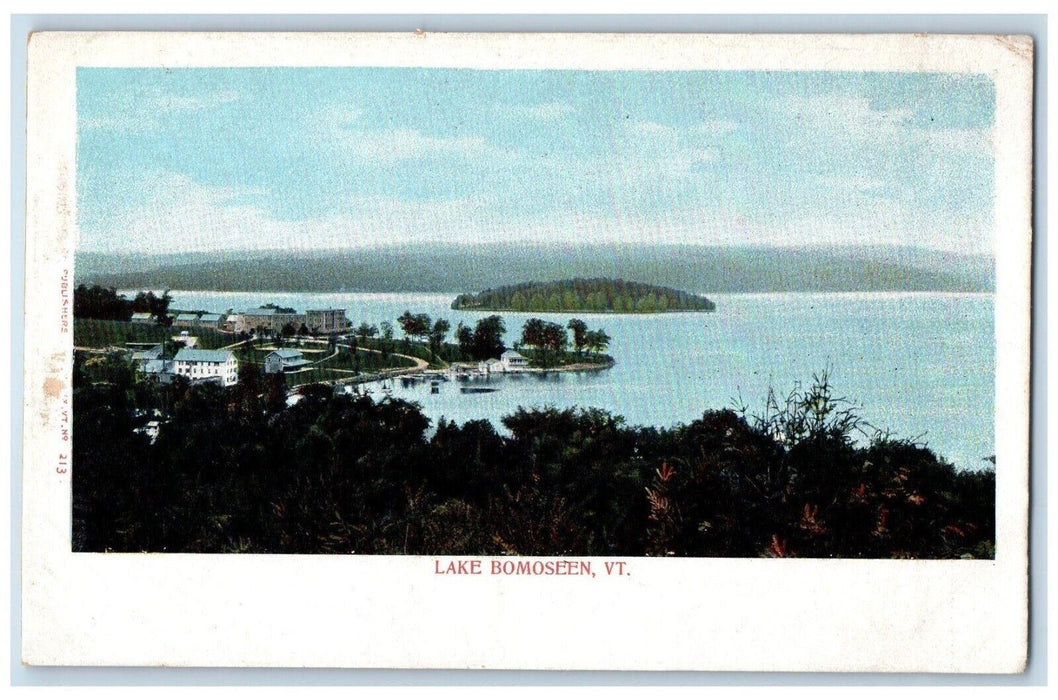 c1905 Overlooking Lake Bomoseen House Mountain Vermont Antique Vintage Postcard