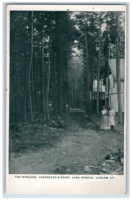 1910 Spruces Carpenter Point Lake Tree Rescue Ludlow Vermont VT Vintage Postcard