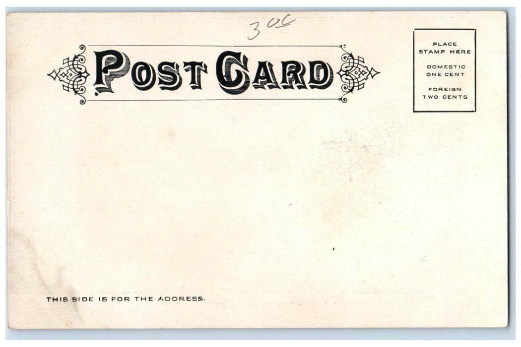c1905 Western Michigan Normal School Kalamazoo Michigan MI Unposted Postcard
