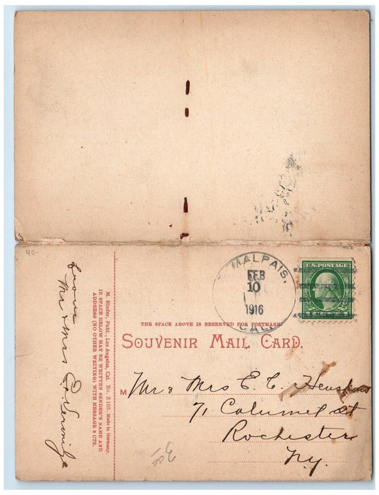 1916 View Of Mt. Tamalpais California Showing Scenic Railway Malpais CA Postcard