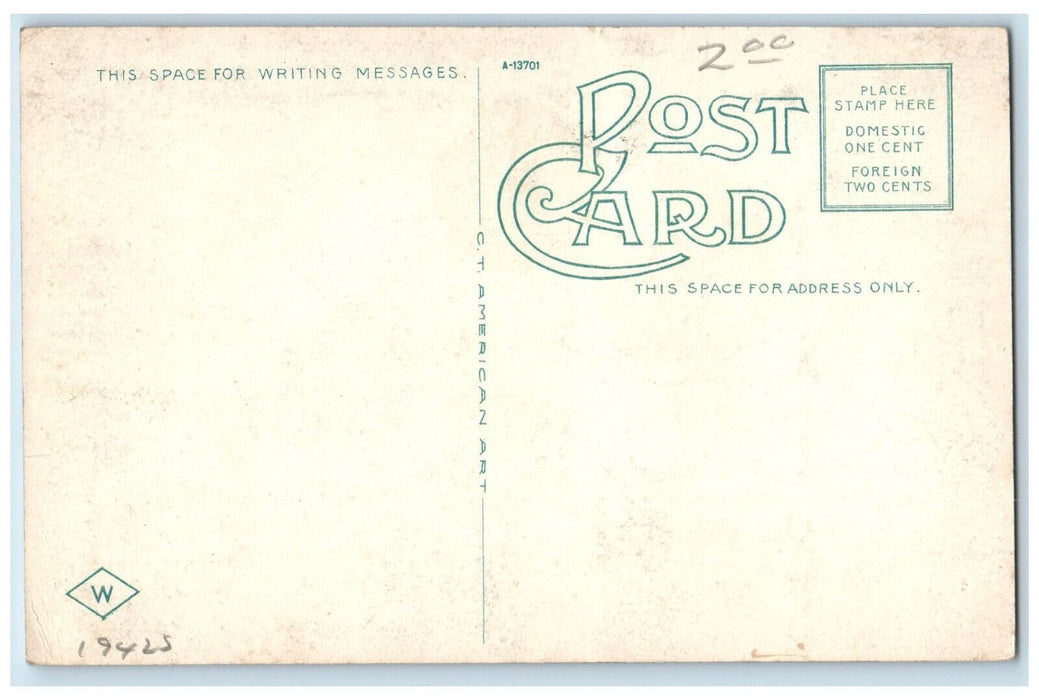 Illinois & Michigan Canal And Drainage Channel Looking South Joliet IL Postcard