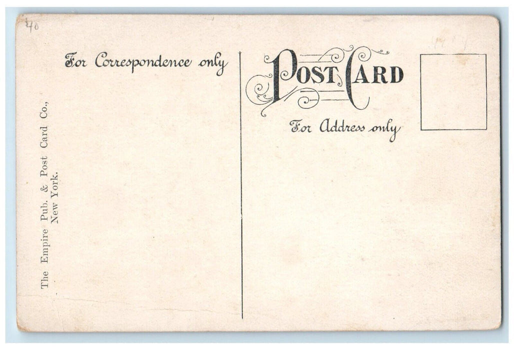 c1910's Donnelly's Grove Dirt Road College Point New York NY Antique Postcard