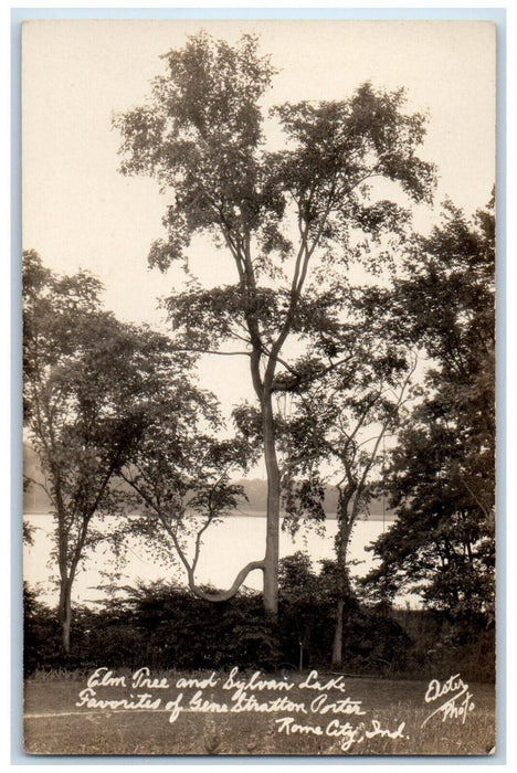 c1930s Sylvan Lake Elm Tree View Rome City Elster Indiana IN RPPC Photo Postcard