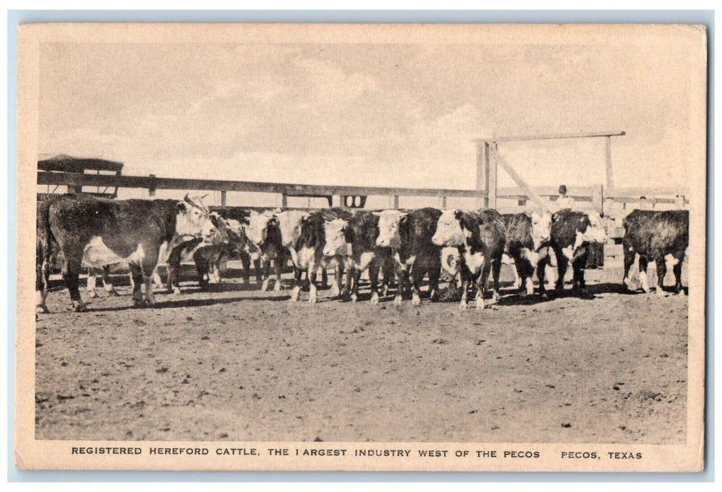 Pecos TX, Registered Hereford Cattle Largest Industry West Of Pecos Postcard