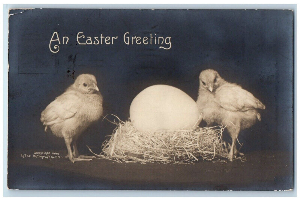 1911 Easter Greetings Chicks Egg Nest Allentown PA Rotograph RPPC Photo Postcard