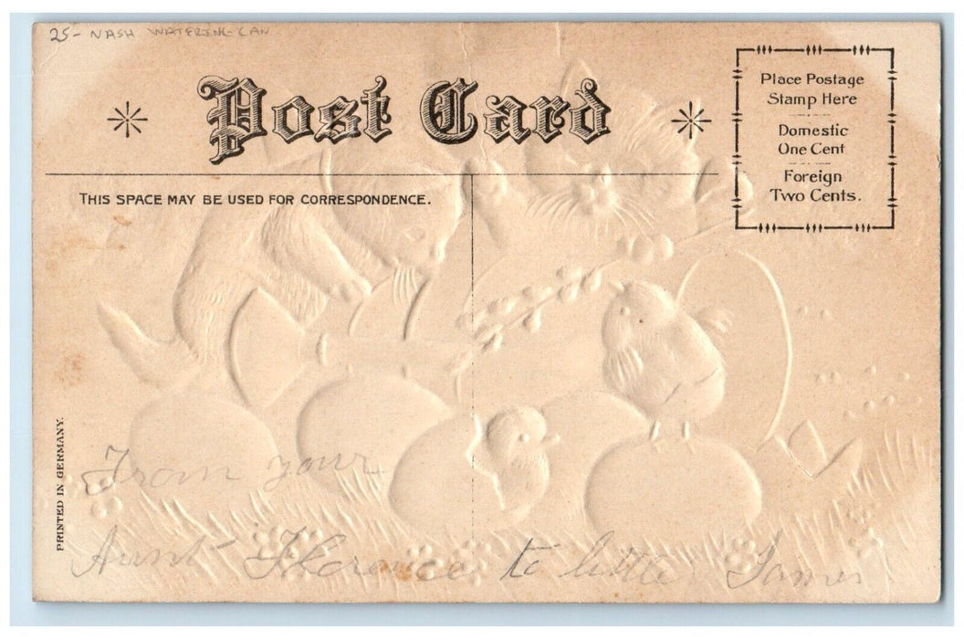 c1910's Easter Cats Hatched Eggs Flowers Watering Can Nash Embossed Postcard