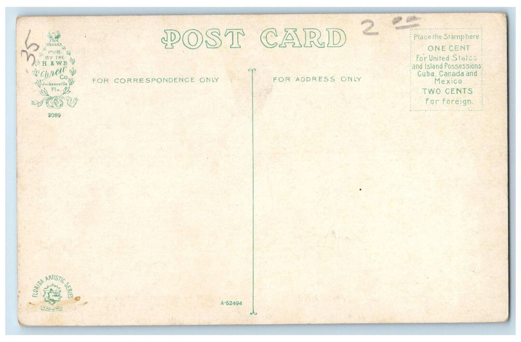 Bay Street Looking West Trees Houses Mansion Scene Daytona Florida FL Postcard