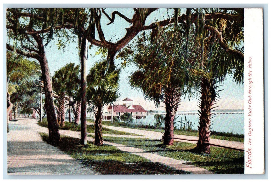 View Of The Daytona Yacht Club Through The Palms Florida FL Antique Postcard