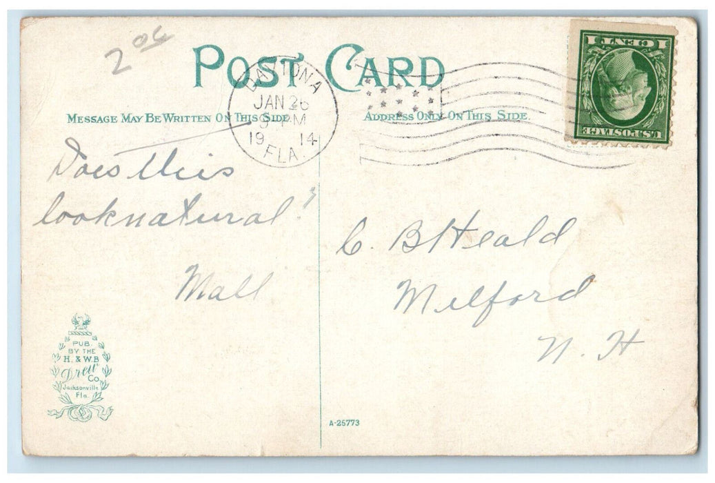 1914 Entrance To The Elks Home Exterior Scene Daytona Florida FL Postcard